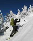 Art Boni - Snowshoe Climber