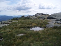 Scenic: Mike McLean - Algonquin Summit
