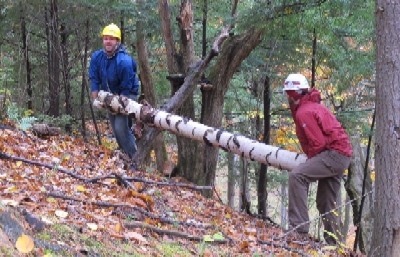 Transporting Logs
