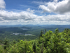 Landscape: Jeff Miller, "Blustery Day On Blue Mountain"