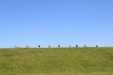 Action: Jeanna Matthews, "Nine Cycists All In A Row"