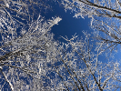 Artistic: Jeff Miller, "A Frosty Ascent of Catamount Mountain 5"