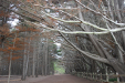 Artistic: Jeanna Matthews, "Fitzgerald Marine Reserve, San Mateo County, California"