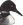 Laurentian Loon